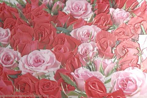 Flores Vermelhas e Rosas com Efeito 3D 480x320