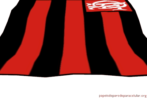 Bandeira Animada do Flamengo - 2